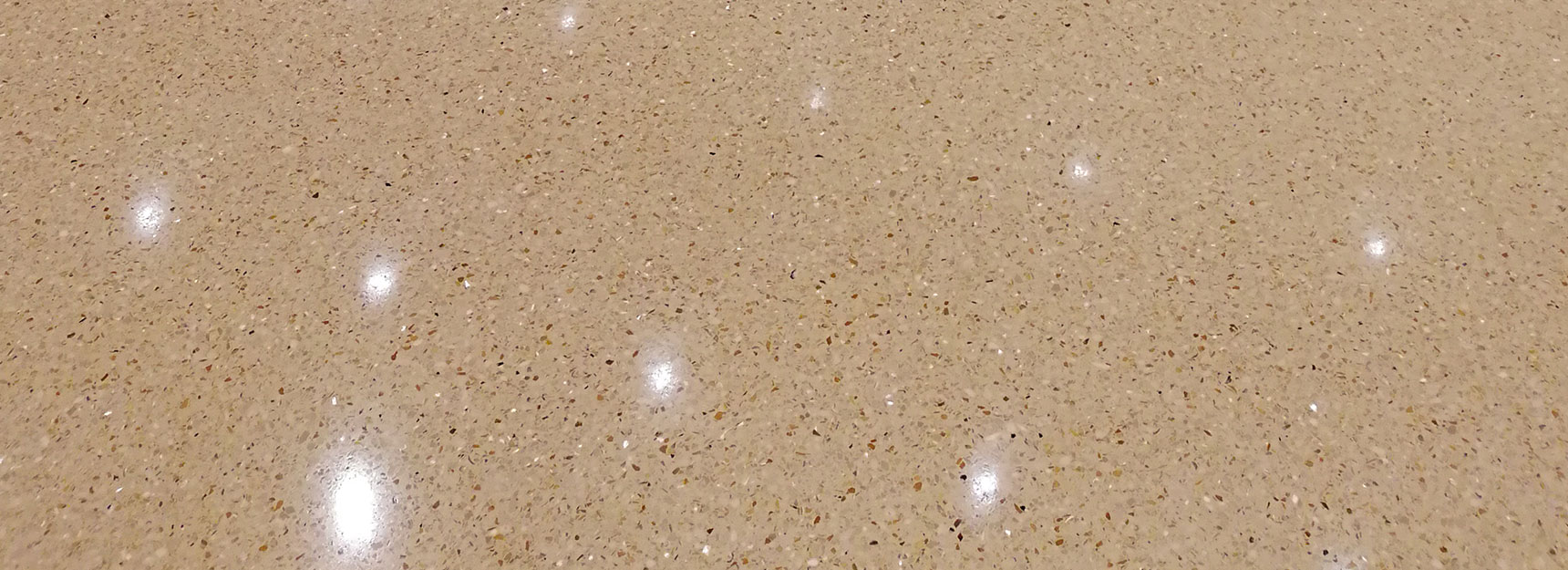 色多多污污污视频下载